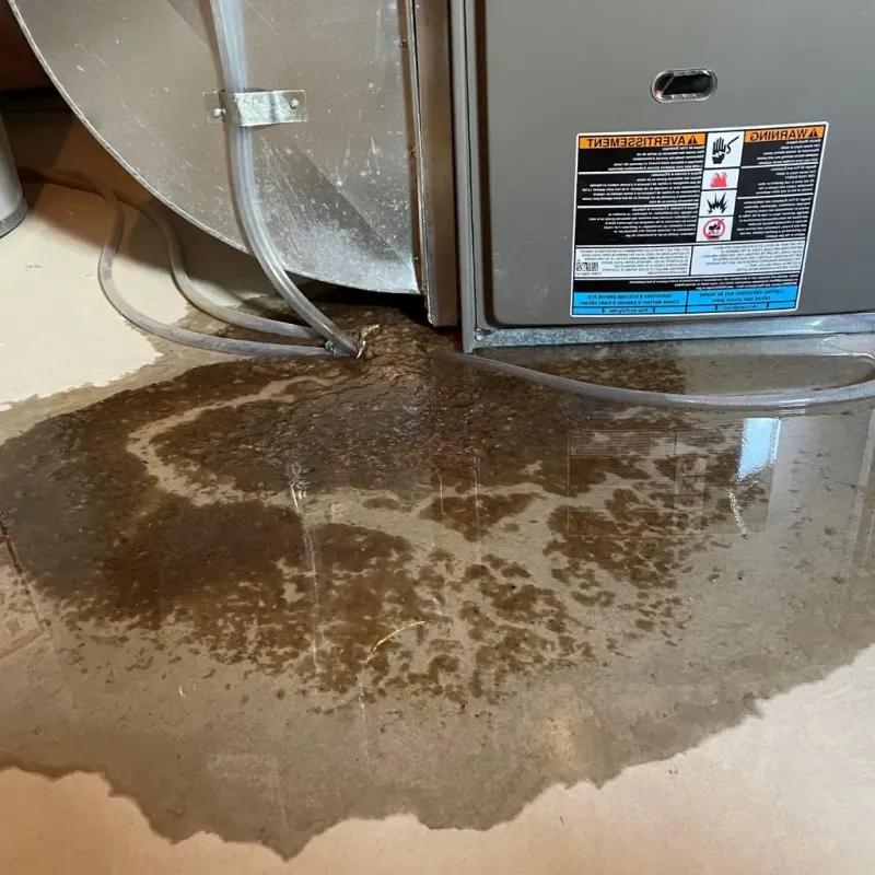 Pipe Burst and Leak Restoration in Belgrade, MT